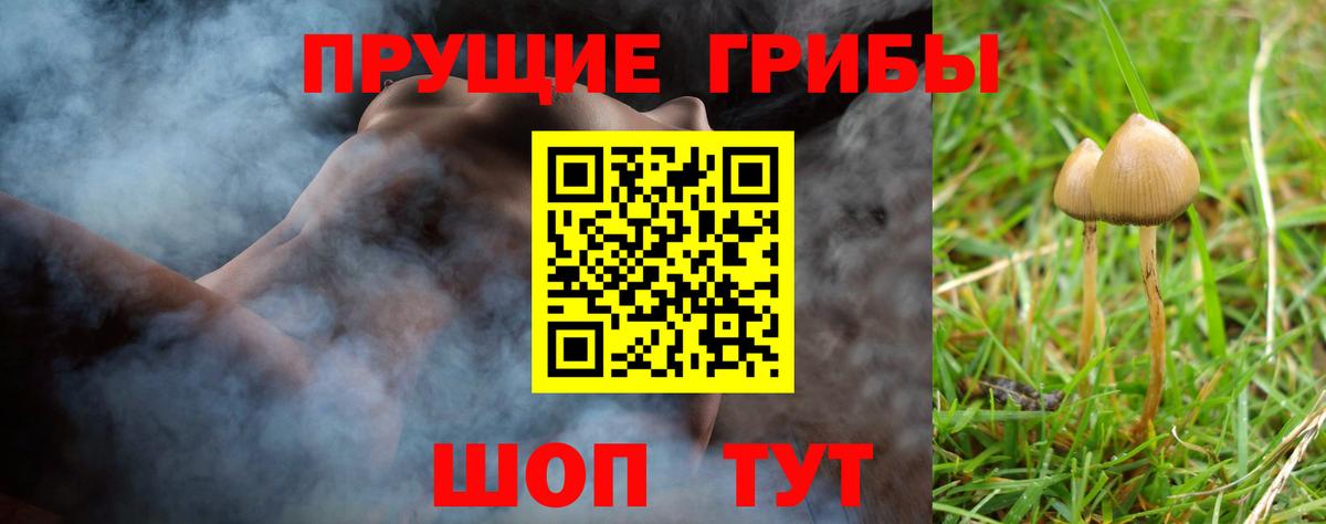 Псилоцибиновые грибы ЛСД Вичуга