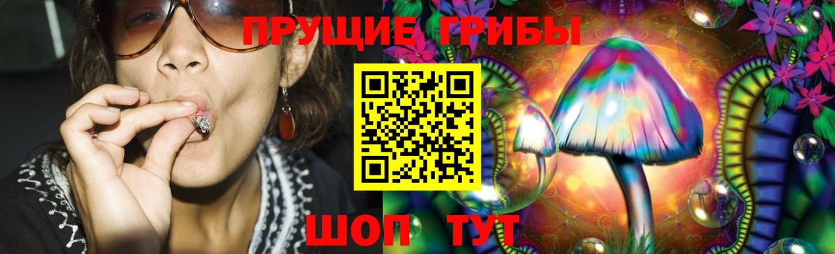 Вичуга  хочу   Вход с VPN  Псилоцибиновые грибы GOLDEN TEACHER 
